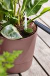 greensense aqua care rond 35cm kleibruin